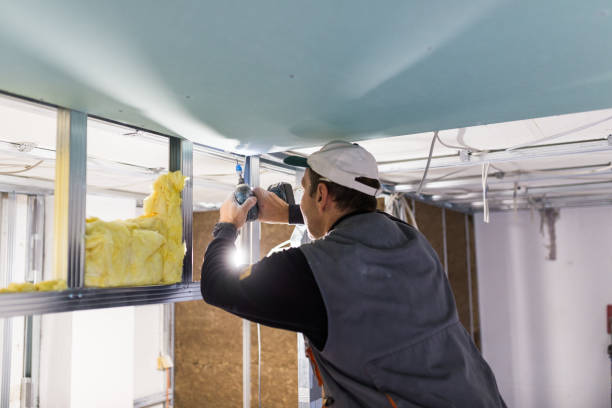 Best Residential Insulation in Morris, MN